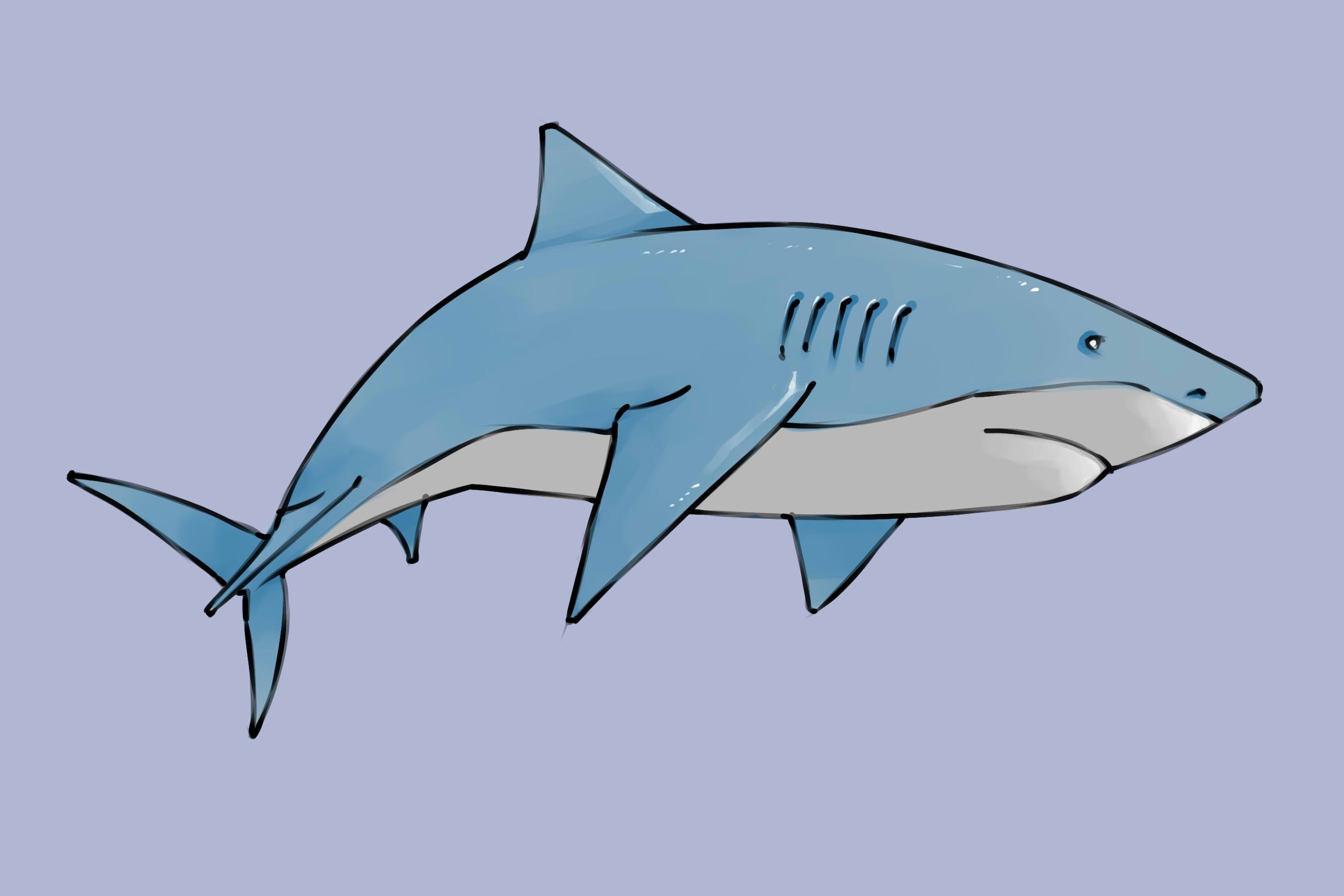 Акула рисунок легкий