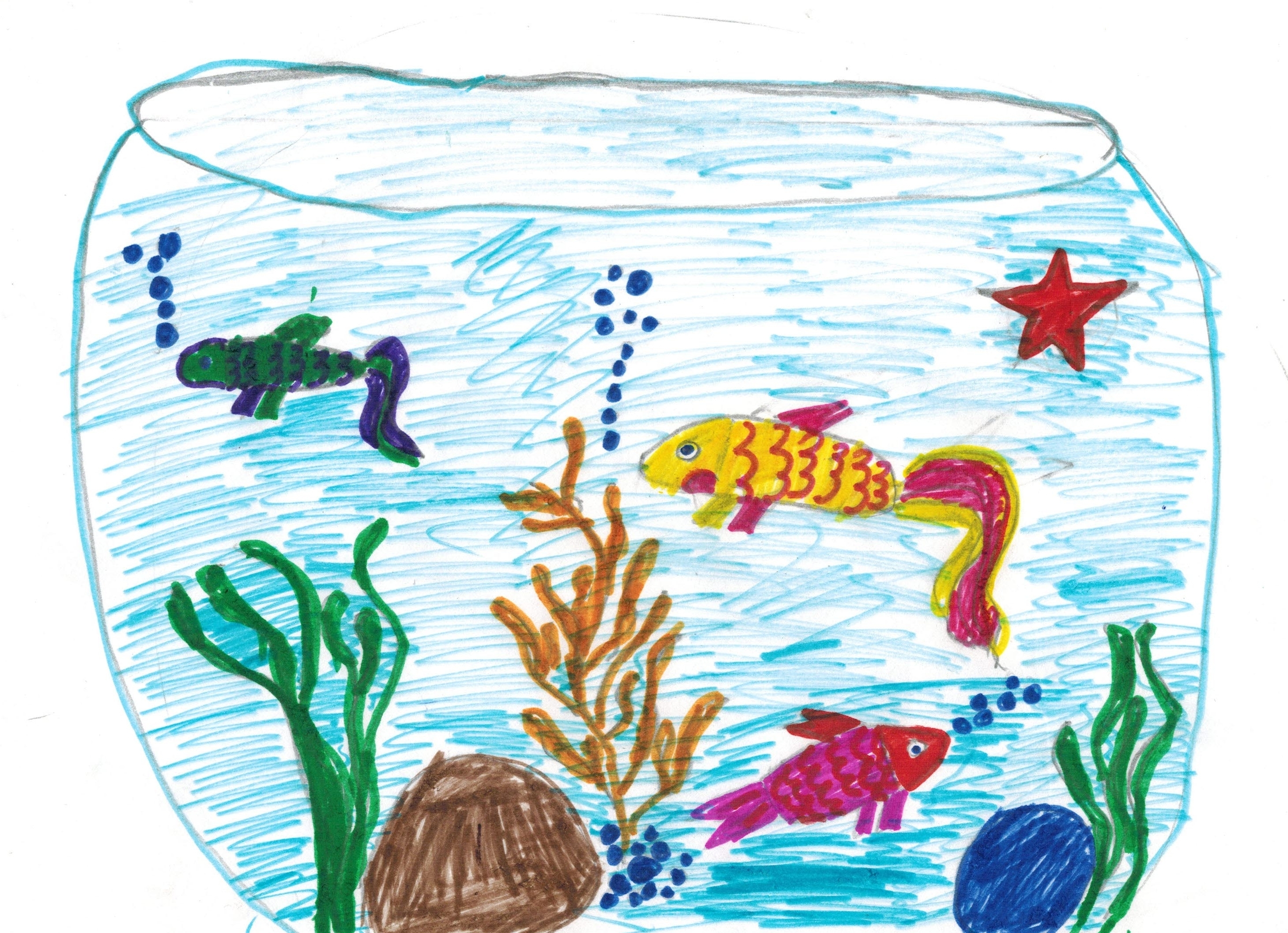 Рисования рыбки плавают в аквариуме. Сен Санс аквариум. Сен-Санс карнавал животных аквариум. Аквариум рисование для детей.