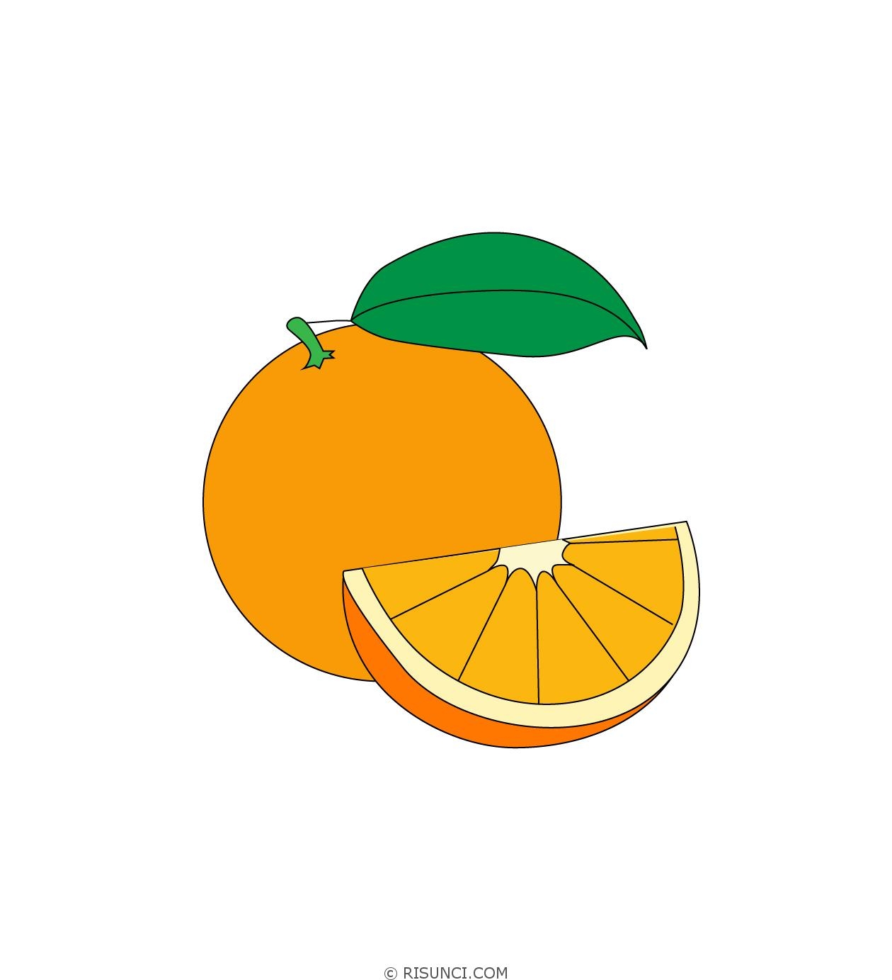 апельсин для срисовки