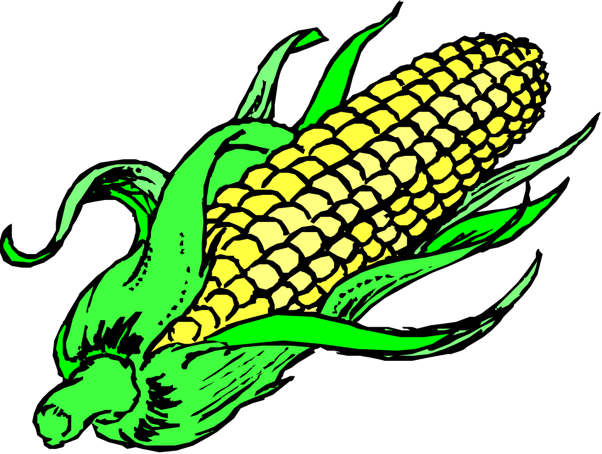 Кукуруза картинки на прозрачном фоне. Кукуруза вектор. Кукуруза мультяшная. Кукуруза символ. Кукуруза Векторная Графика.