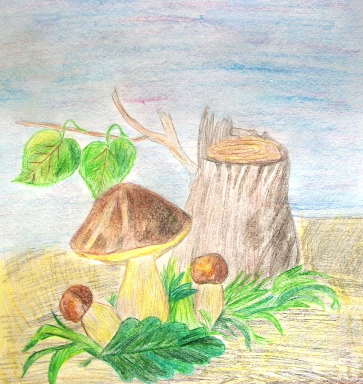 Рисунок гриба 5 класс. Грибы цветными карандашами. Гриб рисунок. Грибы на пеньках. Рисование грибы.