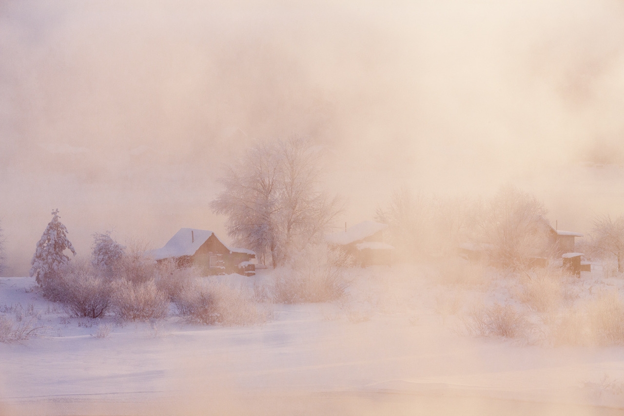 Снежная пелена. Пейзаж в светлых тонах. Зимний пейзаж с туманом. Туман в живописи. Пейзаж туман.