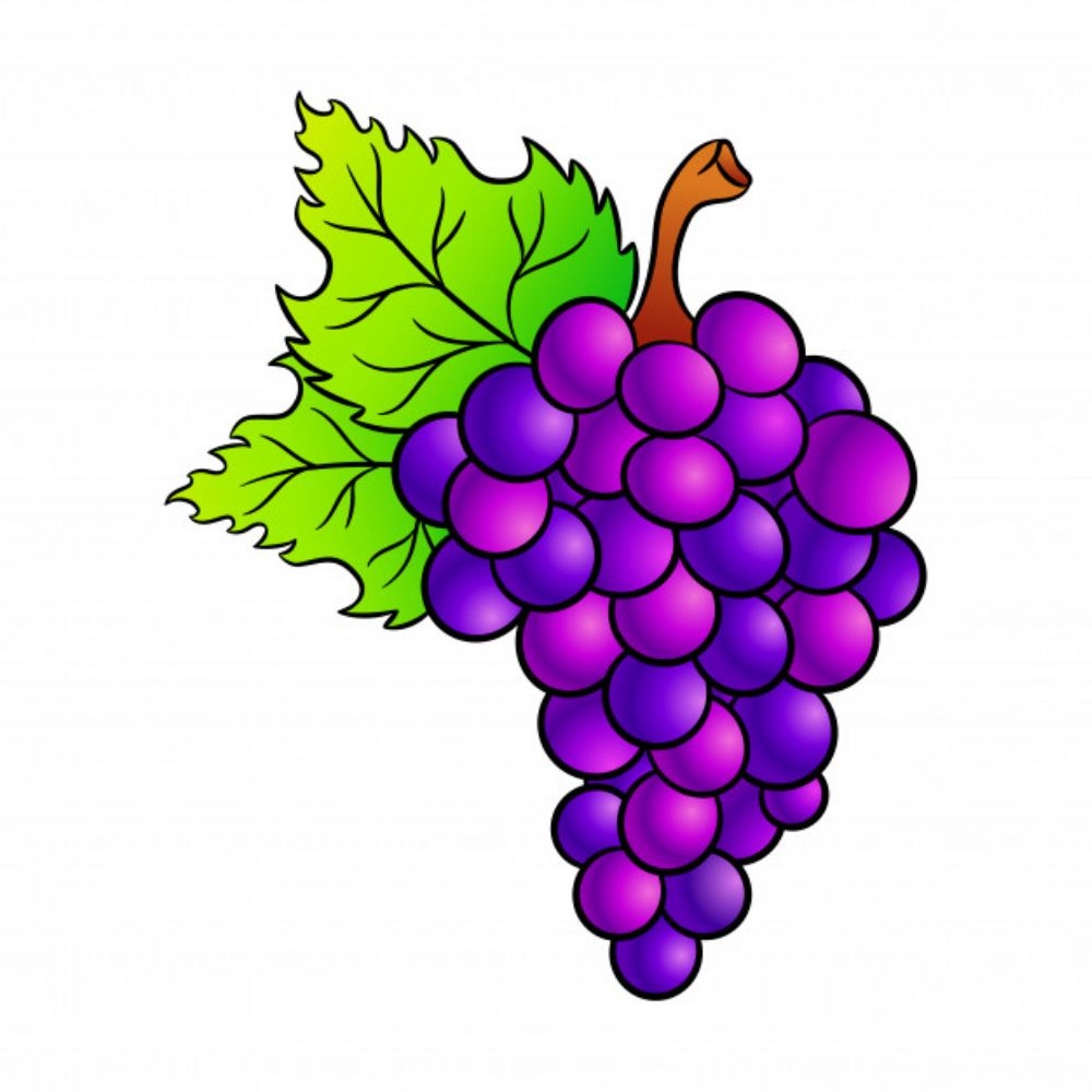 Рисунки винограда