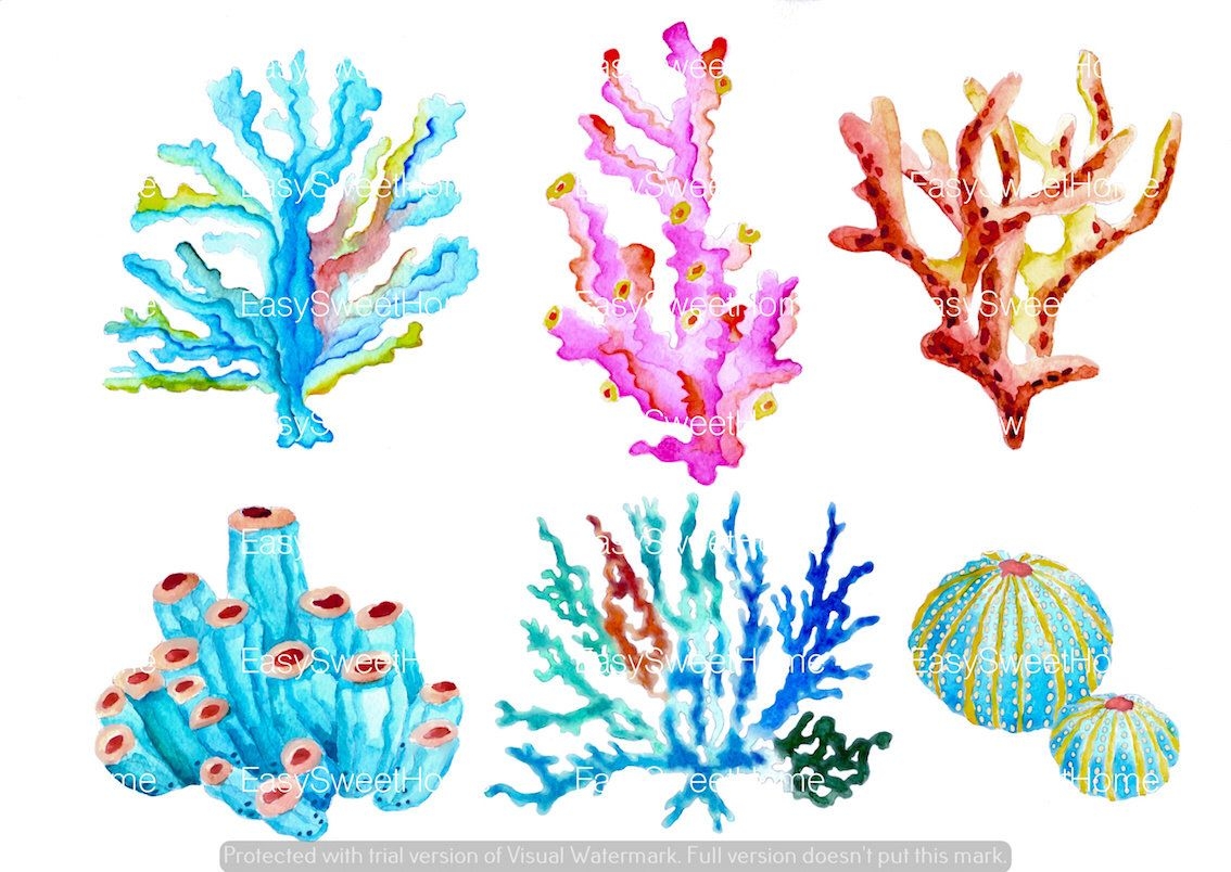 рисунок коралл | Рисунок, Коралл, Краска