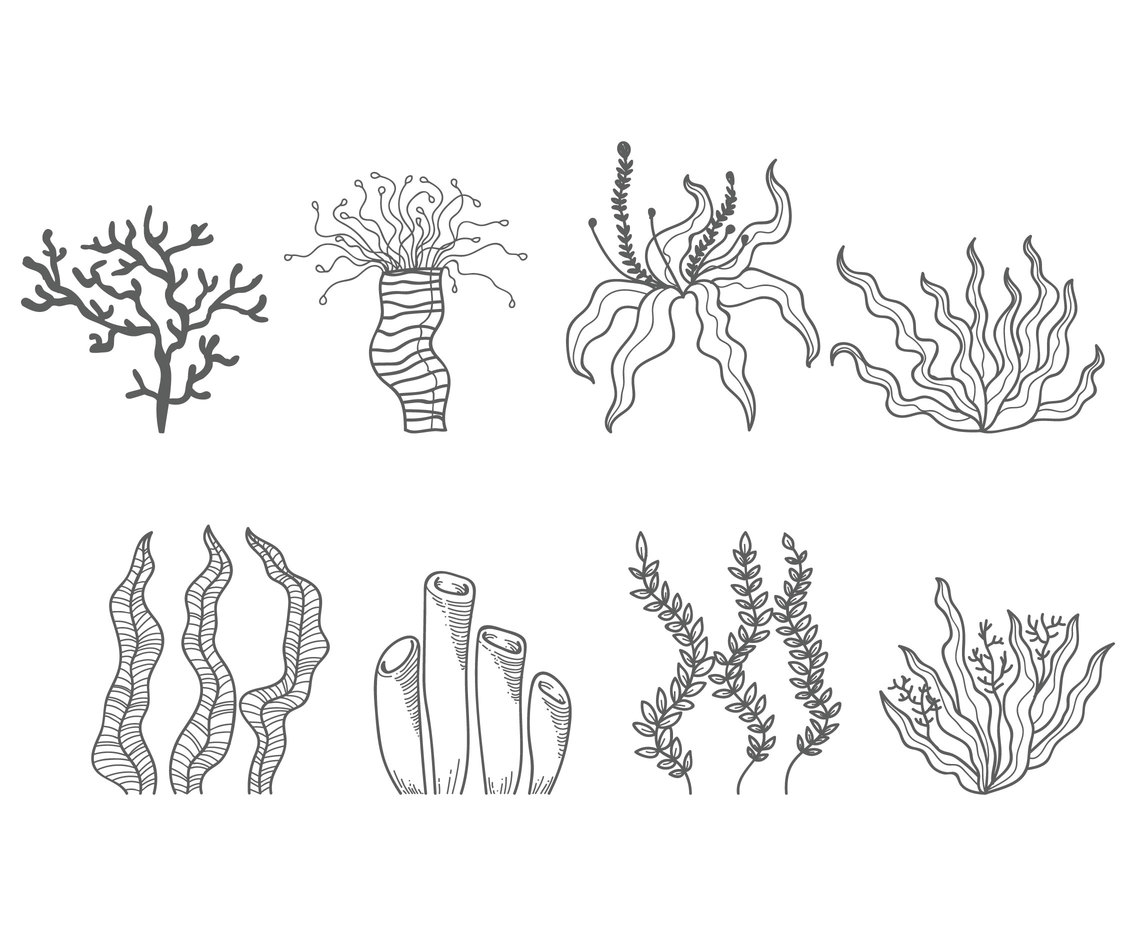 Кораллы рисунок - 55 фото