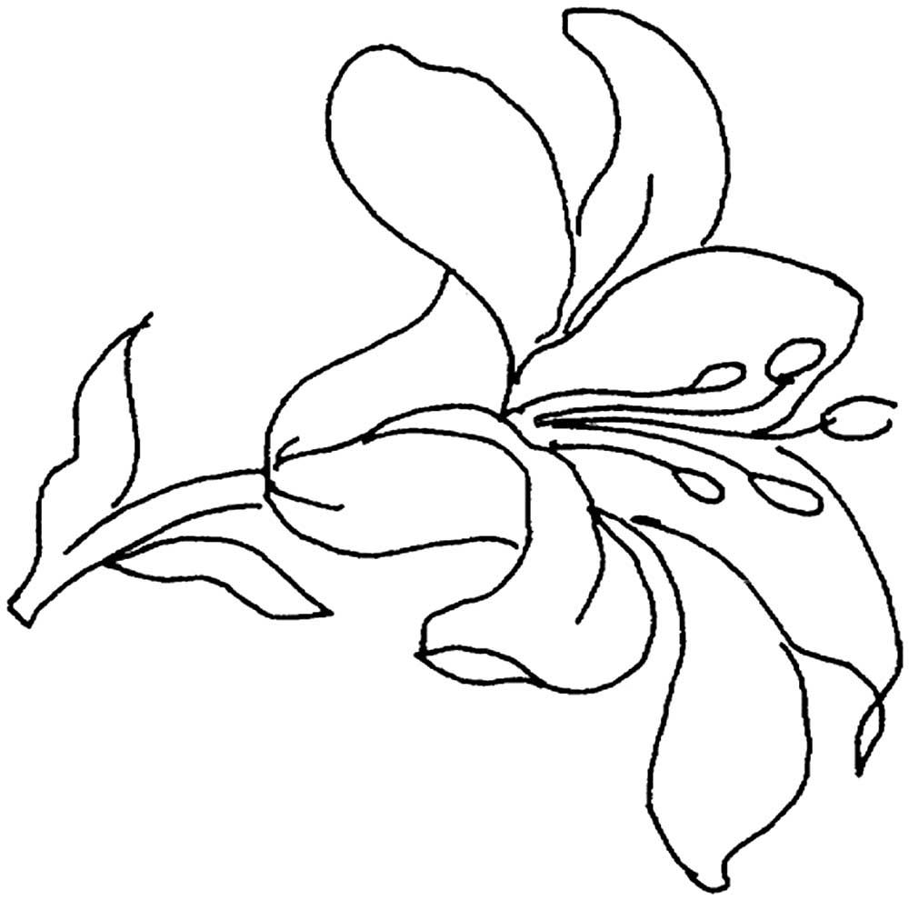 Красивый рисунок на а4. Рисунки для раскрашивания цветы. Контуры цветов для рисования. Рисунки для срисовки цветы. Контуры для рисования цветы.