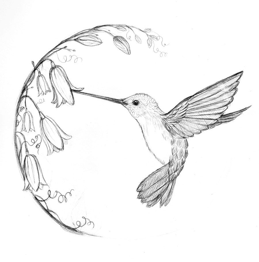 Рисуем колибри в стиле татуировки!