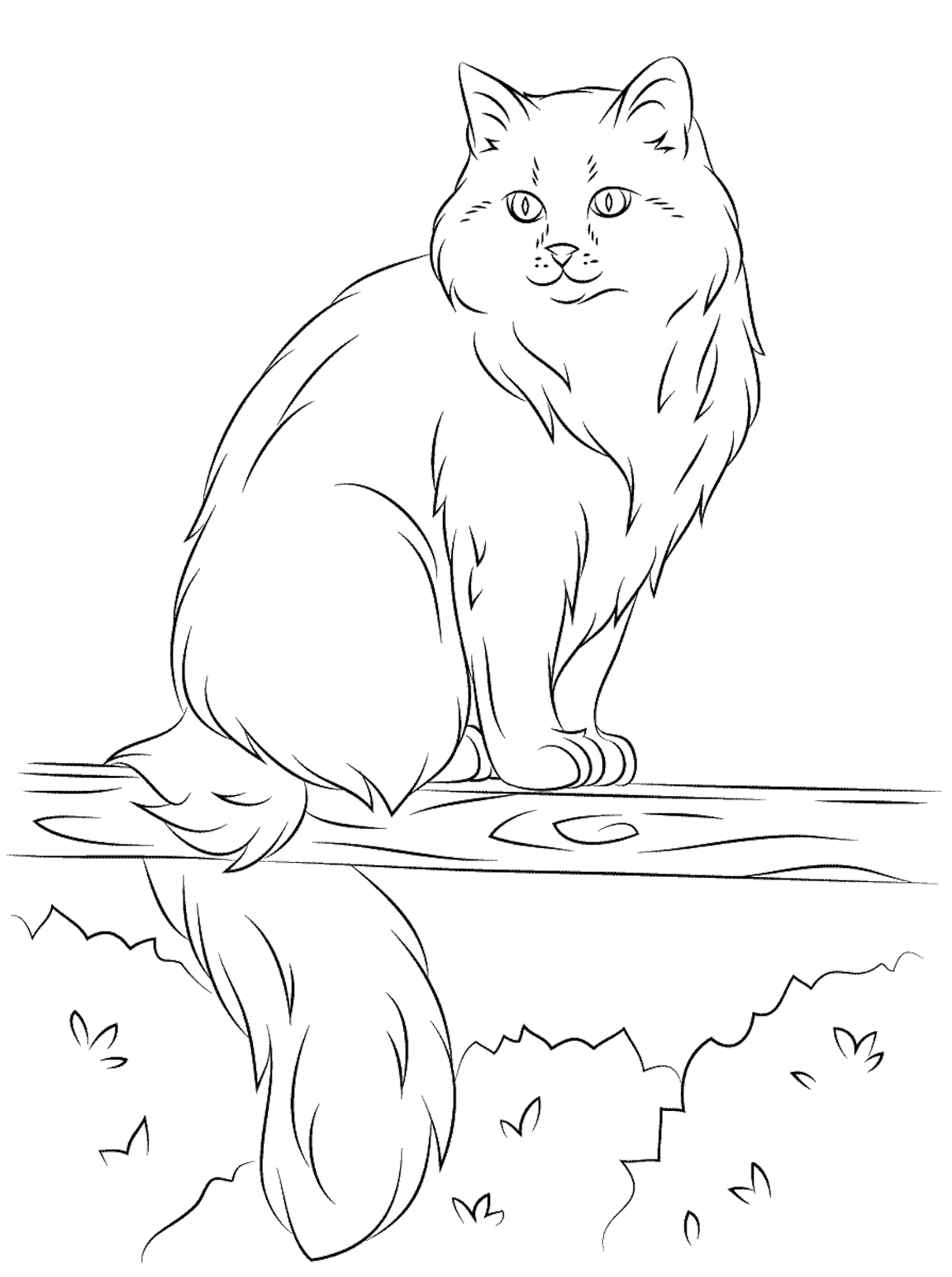 Кот баюн рисунок карандашом - 76 фото