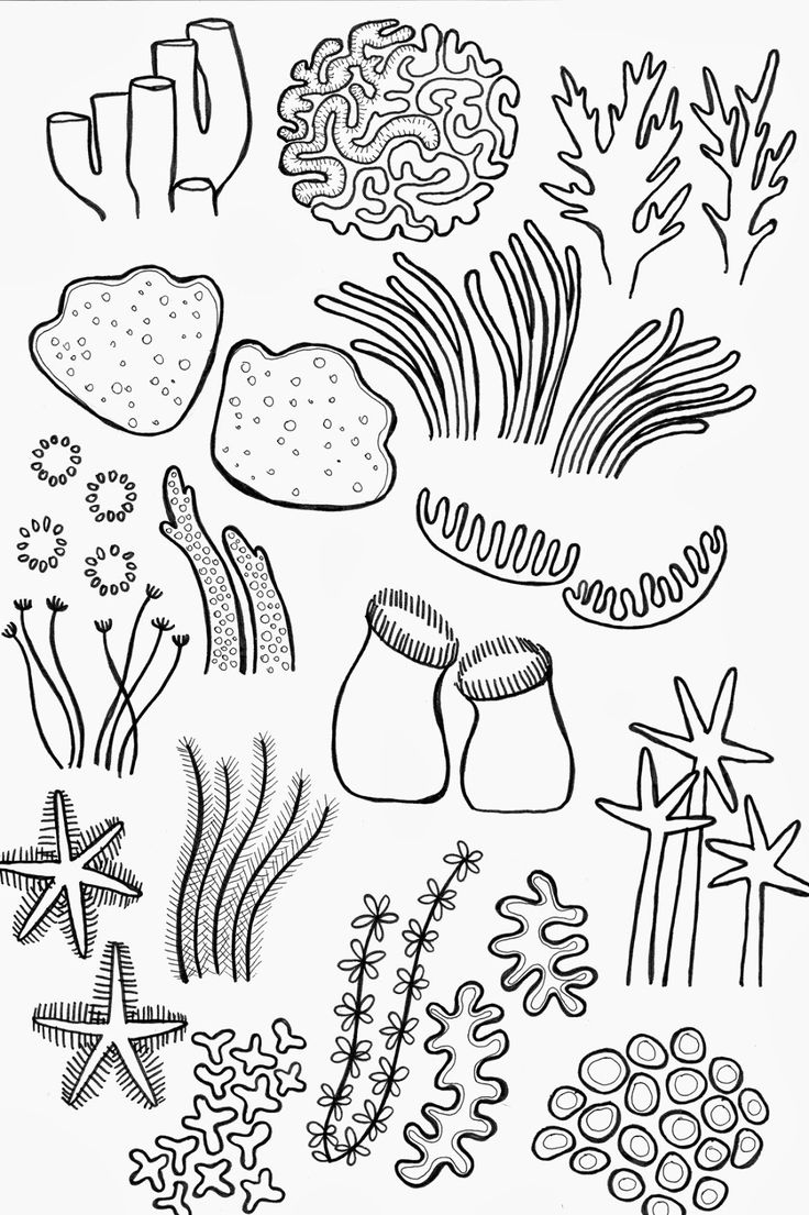 Как нарисовать кораллы 🚩 рисуем кораллы 🚩 Рисование