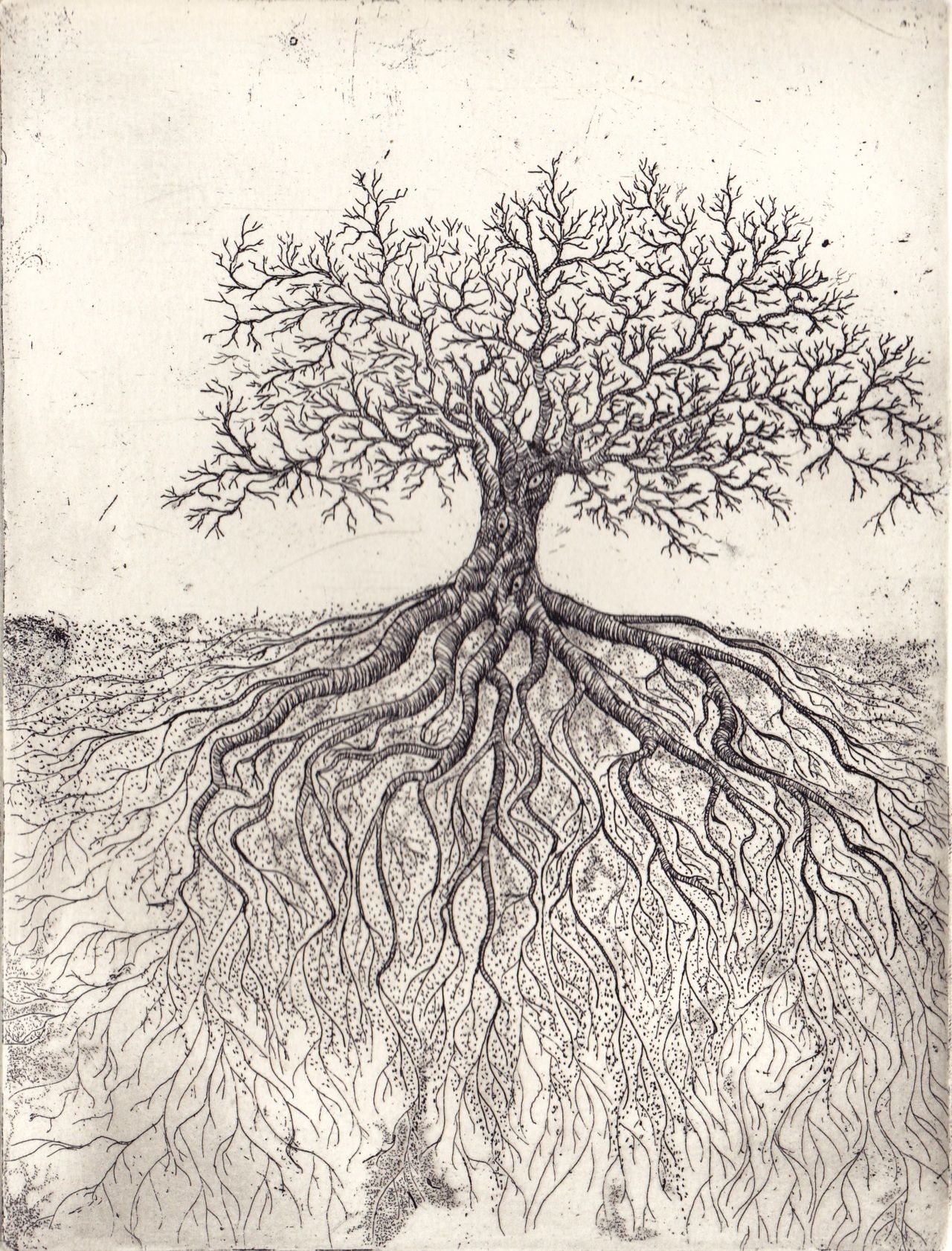 Рисунок дерево с корнями - 60 фото