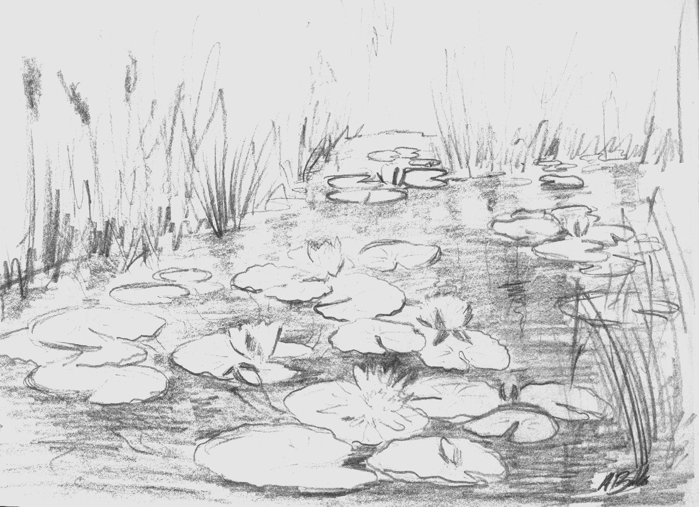 Летний пруд с лягушками, рыбой и цветами - рисунок в векторном формате