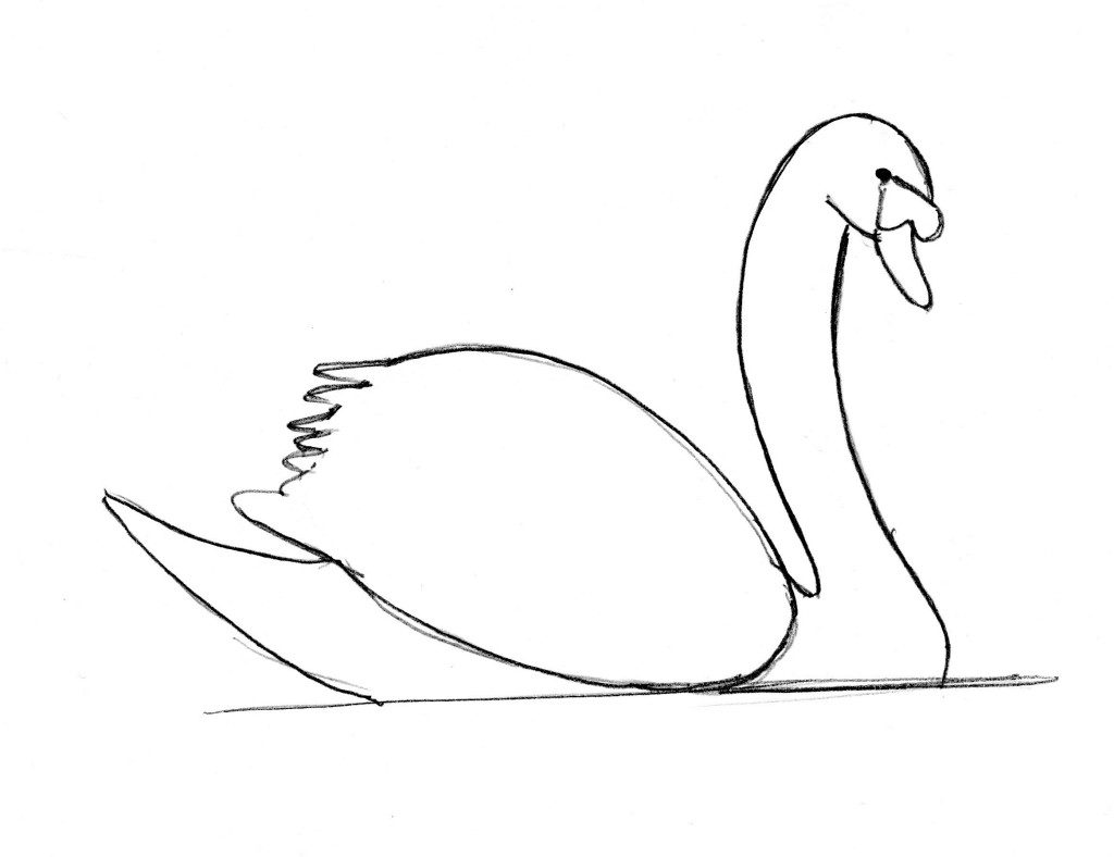 Как нарисовать лебедя: карандашом поэтапно видео