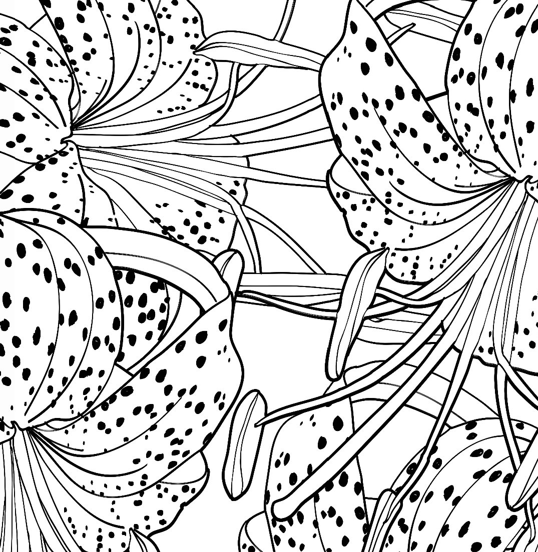 Алмазная вышивка на черном фоне — купить мозаику с цветами: лилии, орхидеи