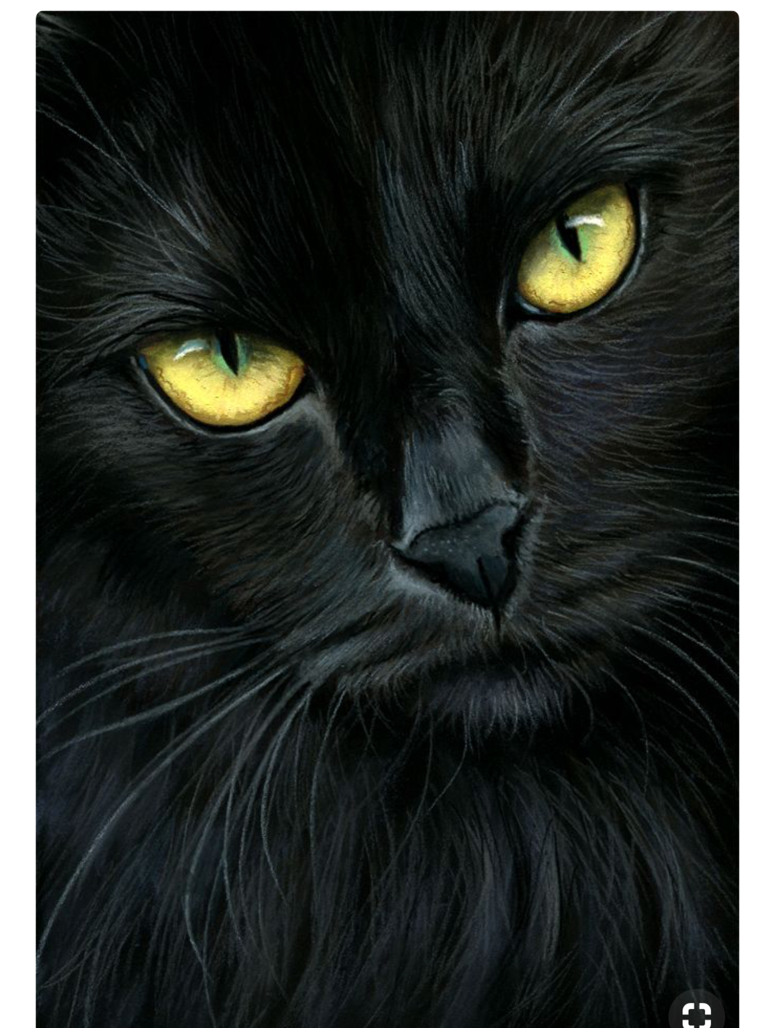 Картина черный кот - 70 фото