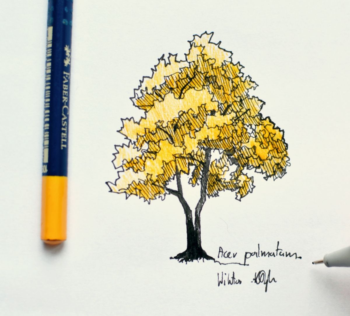 Осень, Лето, Весна - Акварельные Маркеры - как нарисовать дерево
