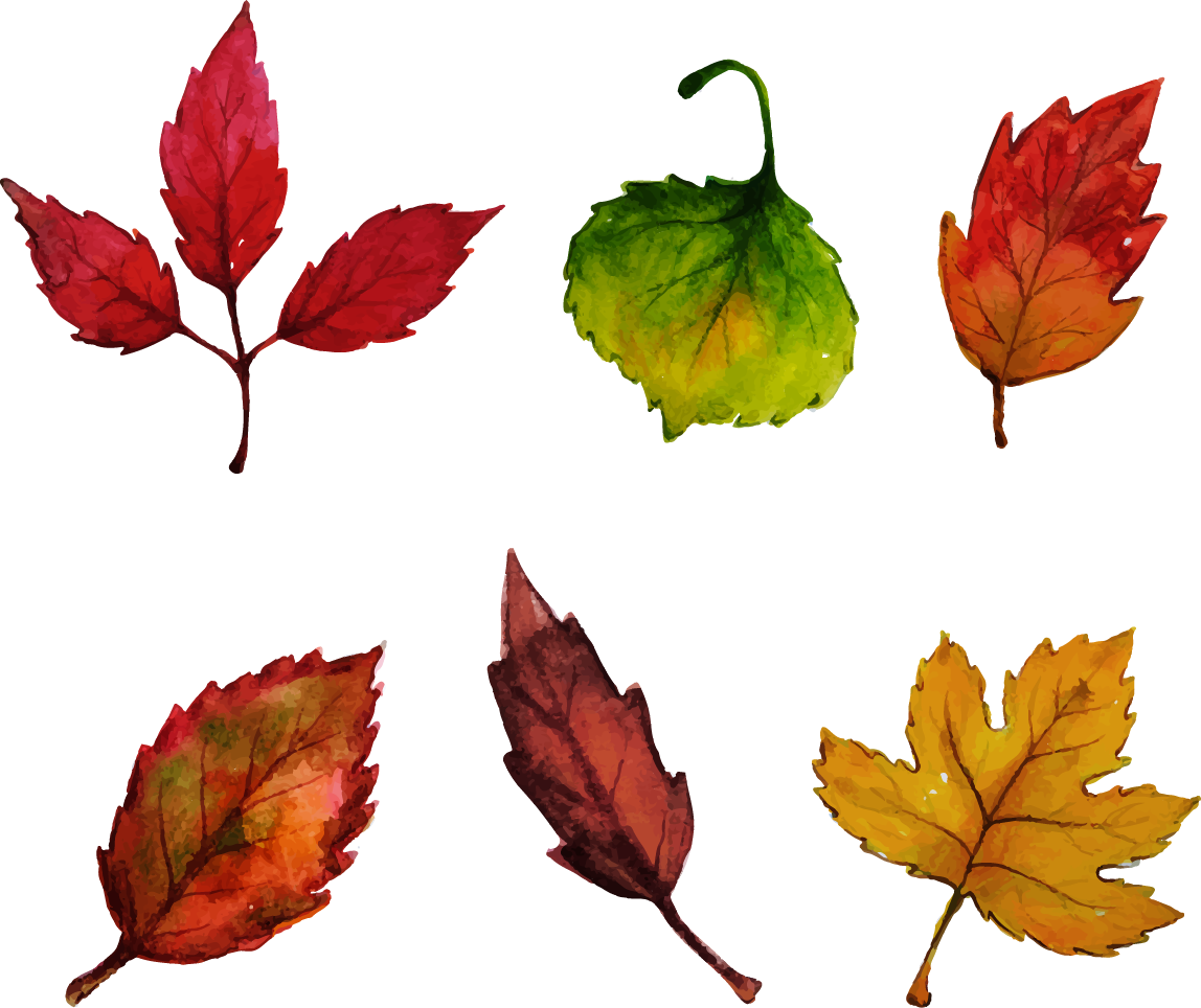 Осенний лист рисунок. Осенние листья. Листья рисунок. Листья деревьев акварелью. Осенние листочки.