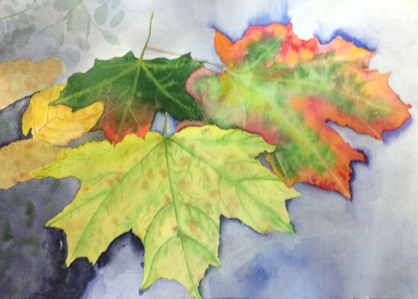 Листья в горячей воде. Осенние листья акварель. Рисование осенних листьев. Кленовый лист красками. Кленовый лист живопись.