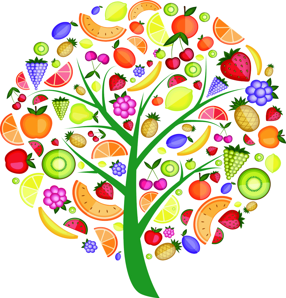Плоды жизни дети. Чудо дерево. Фрукты на деревьях для детей. Чудо дерево с фруктами. Фруктовые деревья вектор.