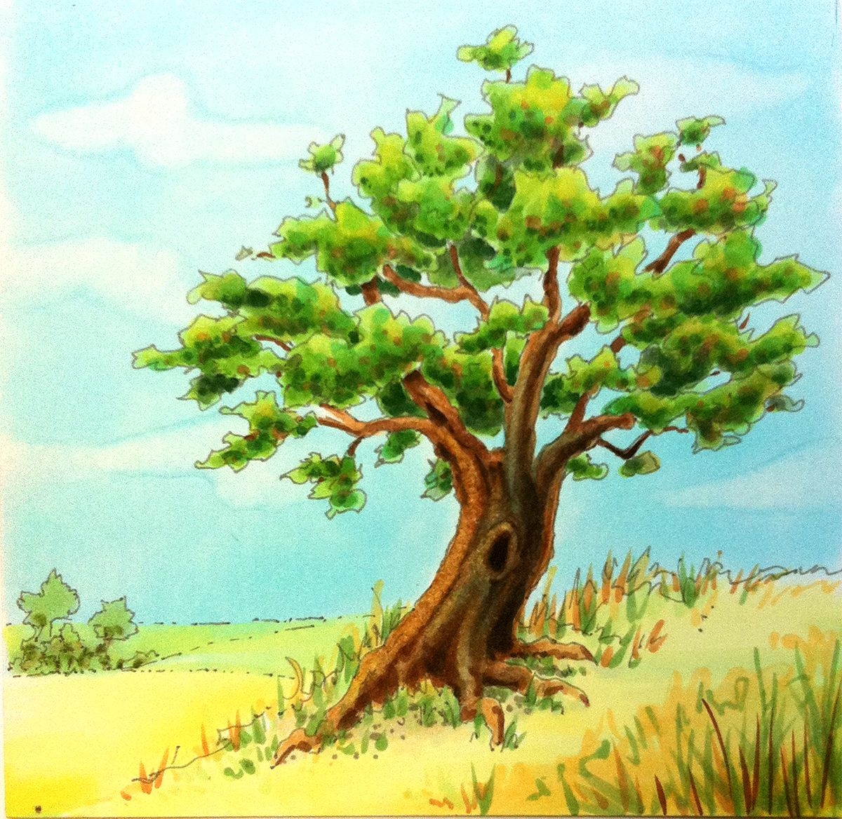 Дерево дуб рисунок - 76 фото
