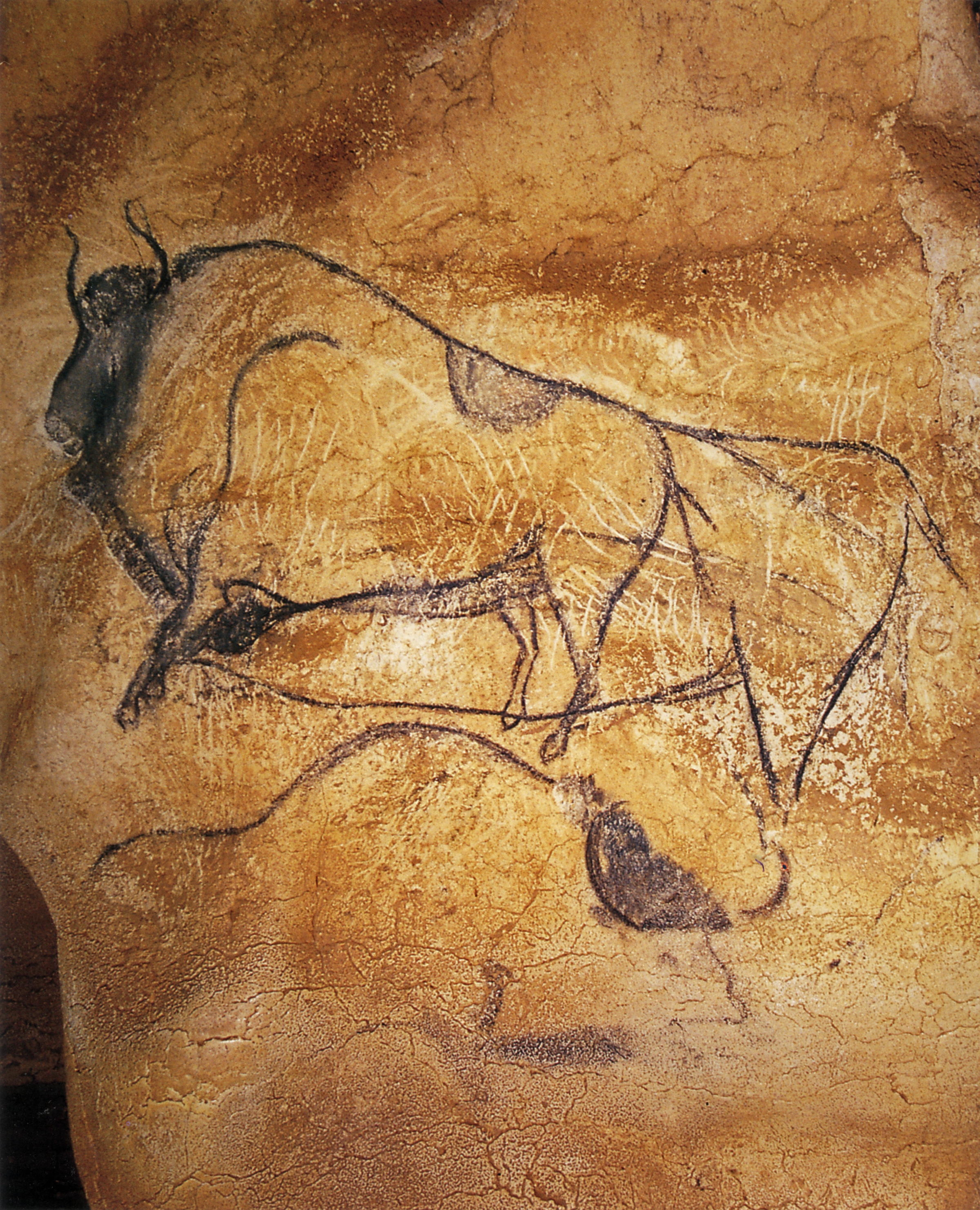Раннее первобытное. Пещера Шове Наскальная живопись. Пещера Ласко Бизон. Первобытное искусство пещера Шове. Палеолитическое искусство пещера Шове.