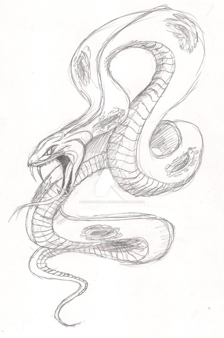 Голова змеи рисунок - 67 фото