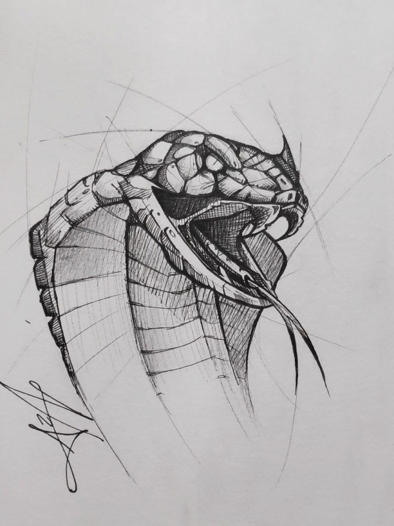 Как нарисовать голову змеи карандашом поэтапно