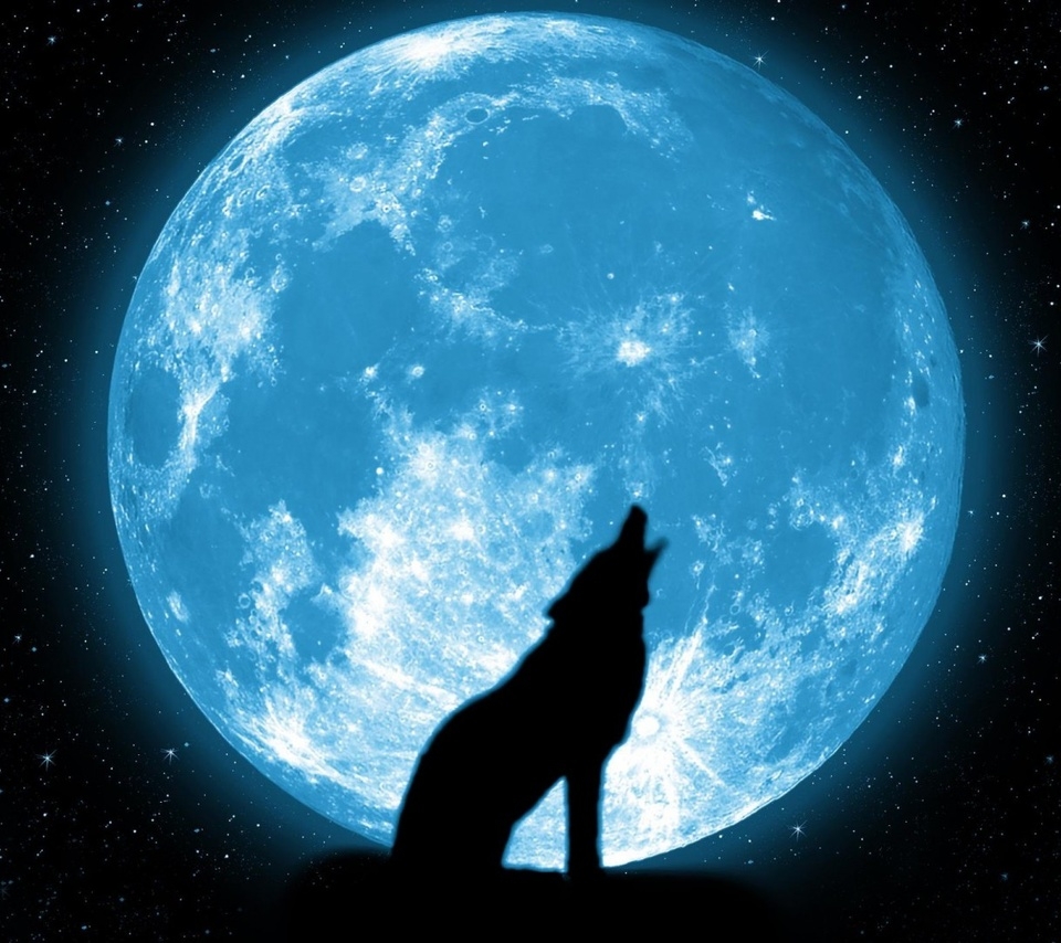 Волк и Луна: подборка картинок