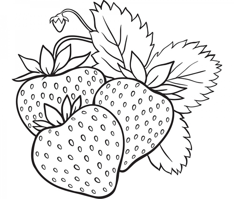 Раскраски фрукты и ягоды