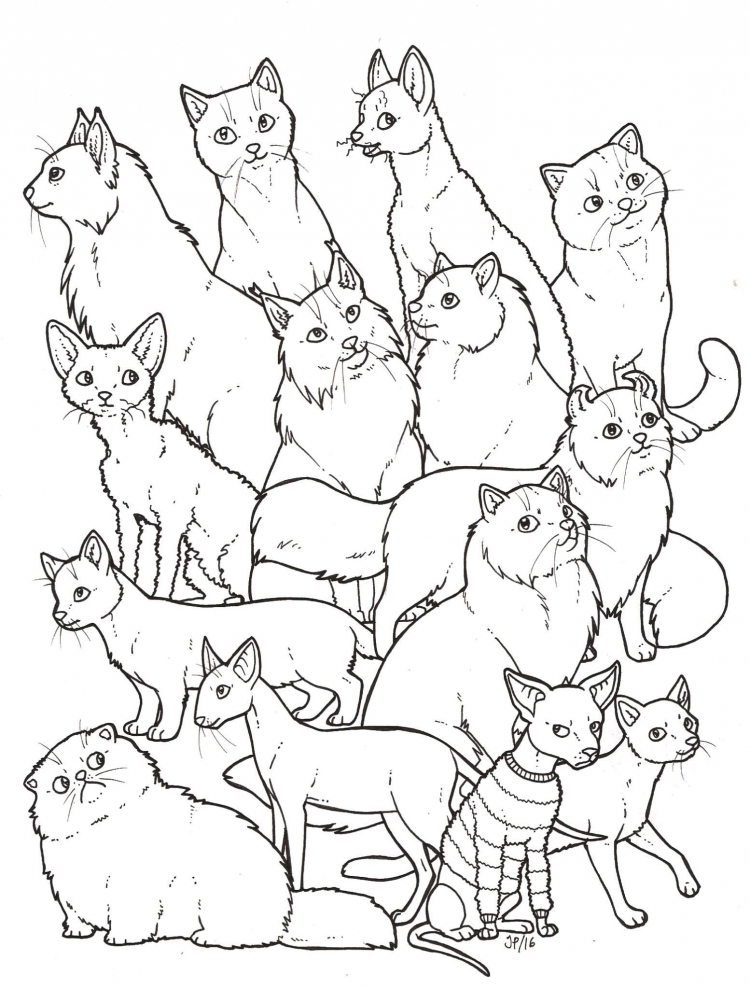 Много котов для раскрашивания