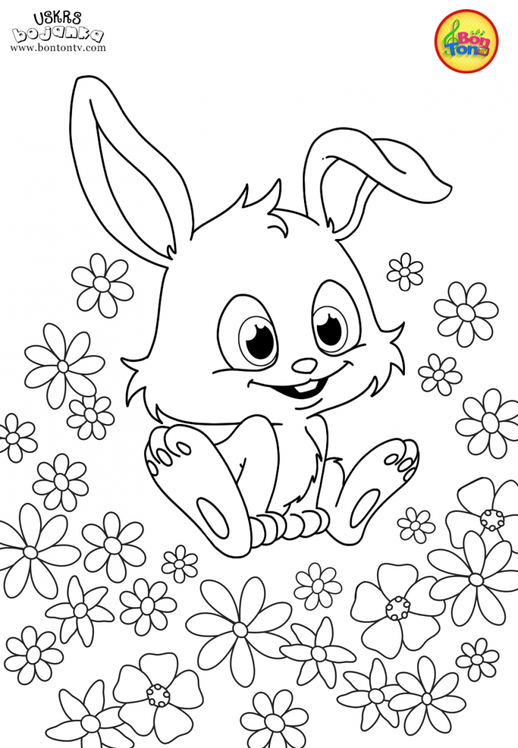 Sunny Bunnies раскраска