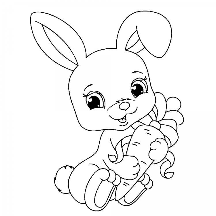 Sunny Bunnies раскраска