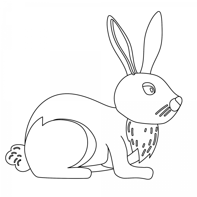 Sunny Bunnies раскраска