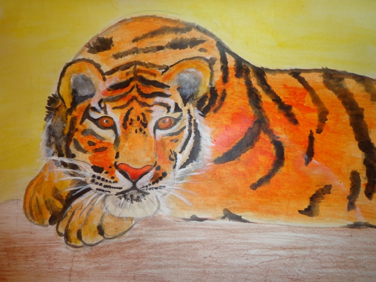 Амурский тигр рисунок для детей