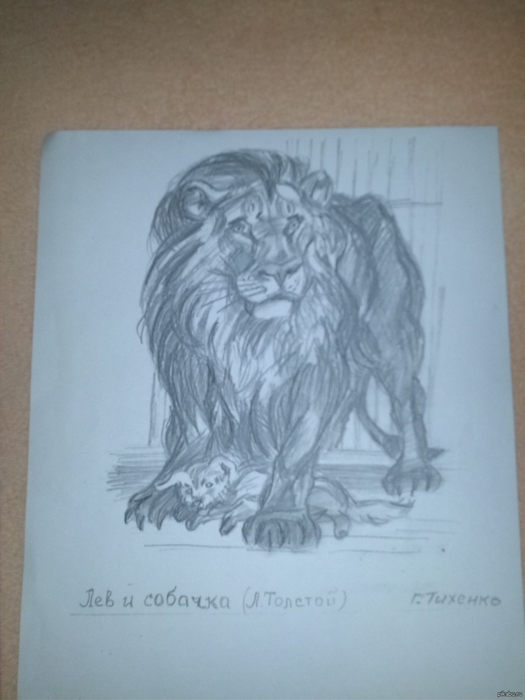 Детский рисунок лев и собачка