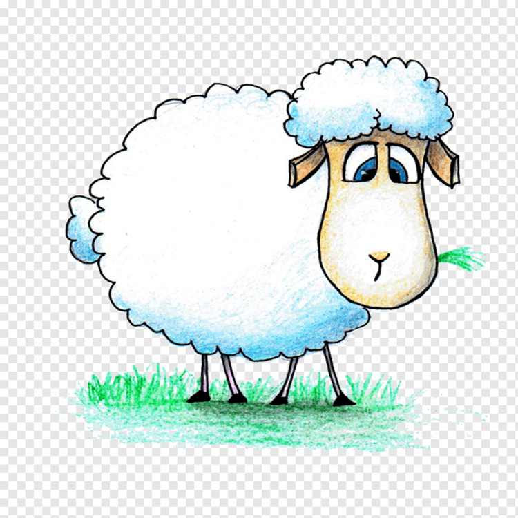 Овца рисунок для детей