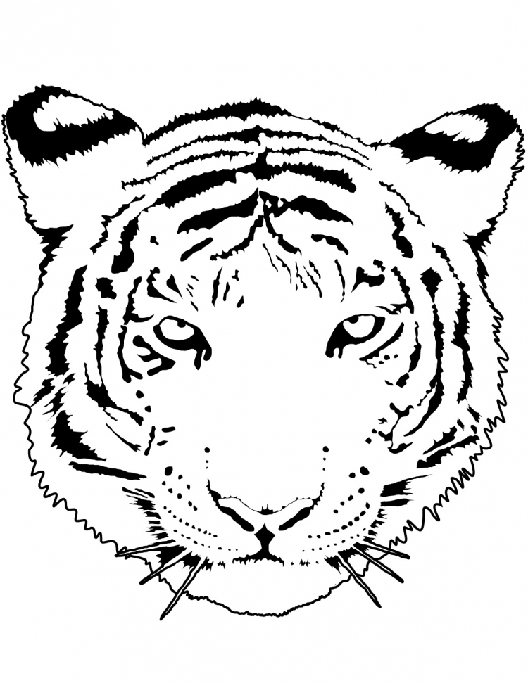 Лицо тигра рисунок для детей