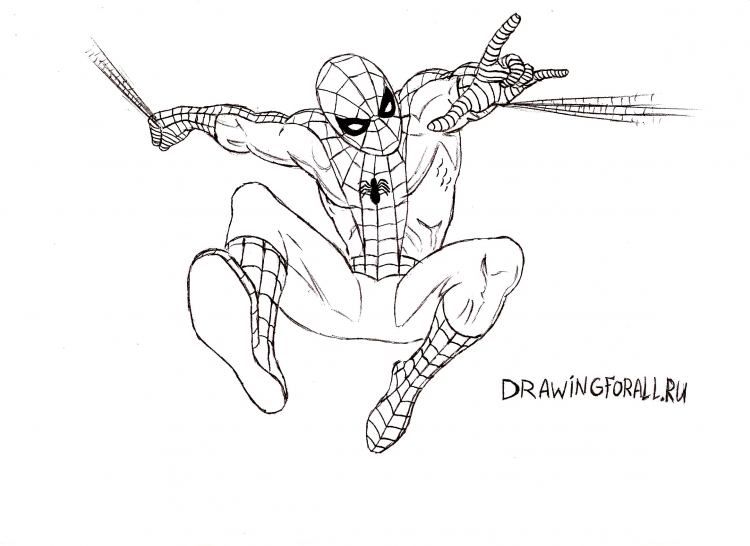 Spider man ps4 рисунок