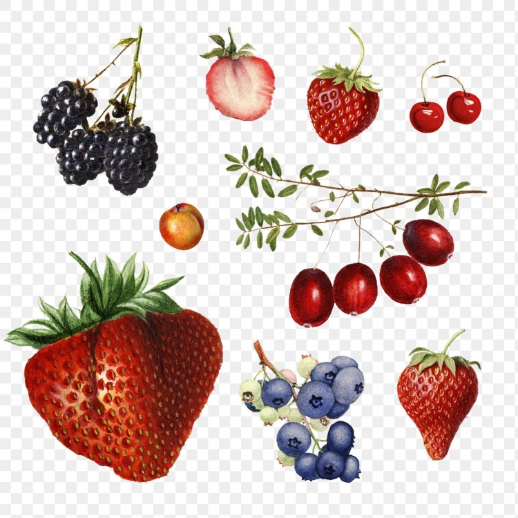 Рисунки ягод для детей