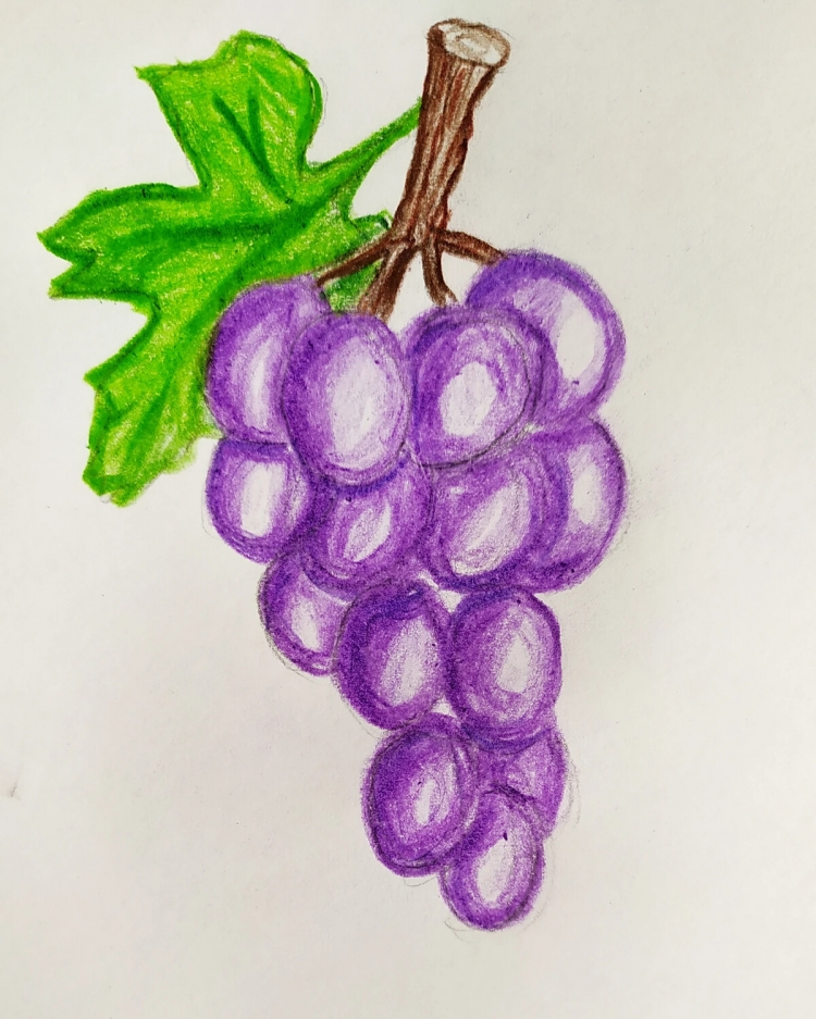 Виноград рисунок детский
