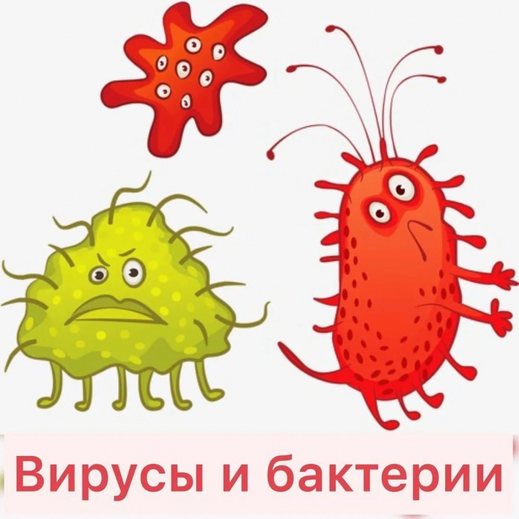 Вирусы и микробиом
