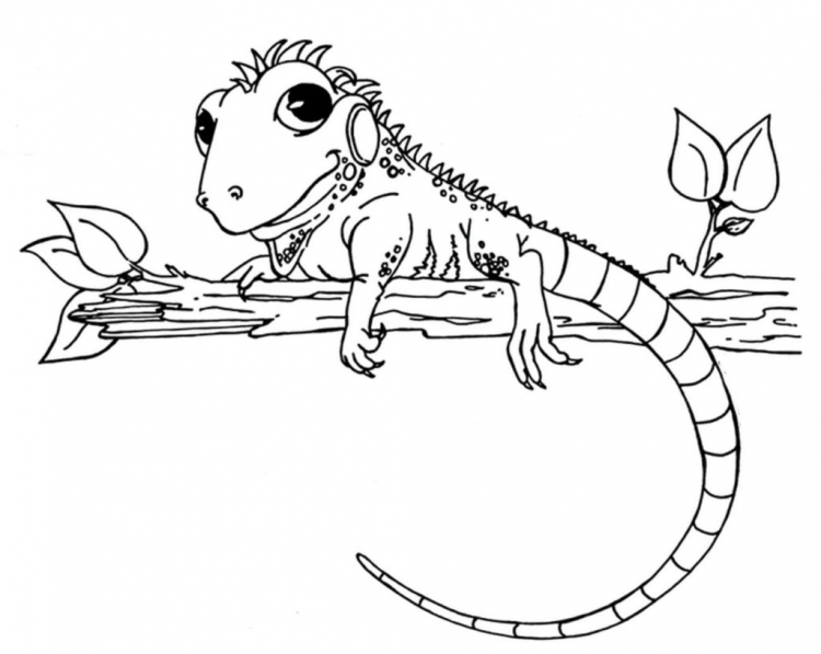 Iguana детей