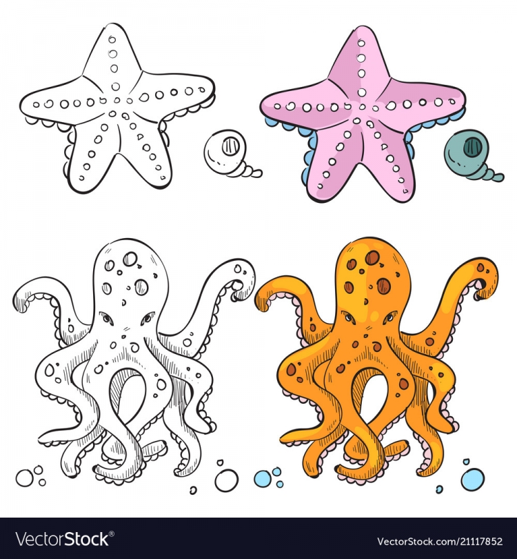 Осьминог и морская звезда