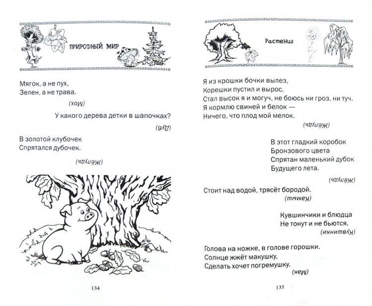 Загадки с рисунками