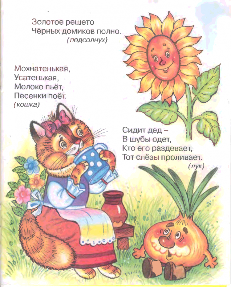 Загадки с грядки