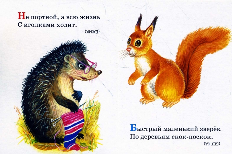 Загадки и иллюстрации к ним