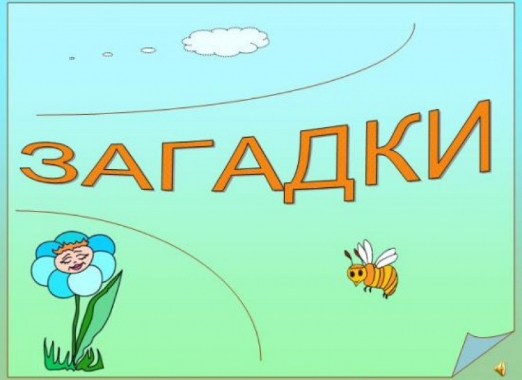Загадки и отгадки