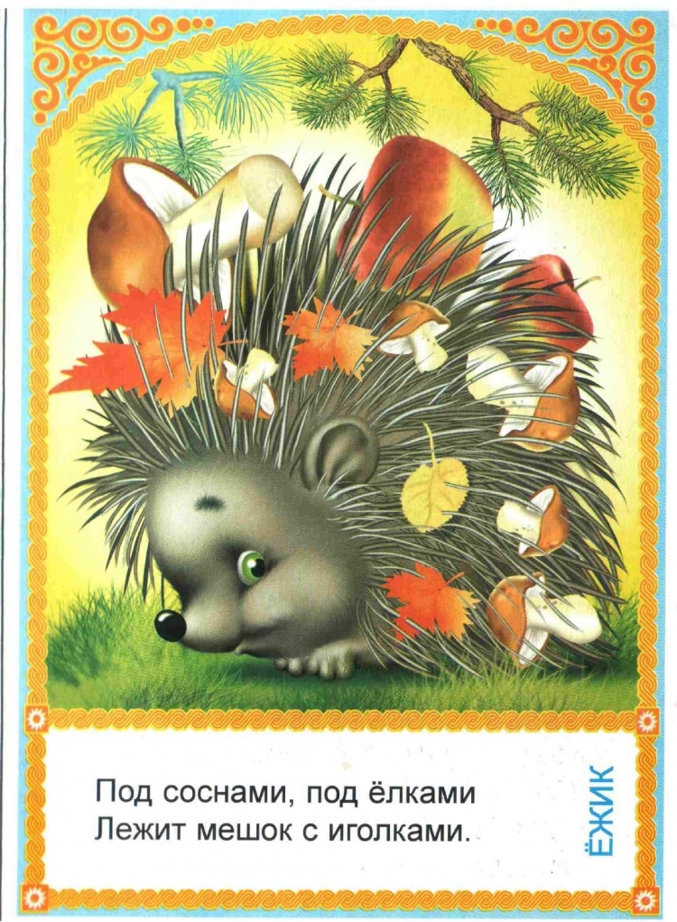 Дмитриева Валентина "загадки в сказках"