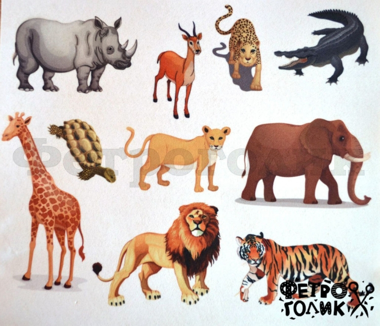 Дикие животные рисунки для детей