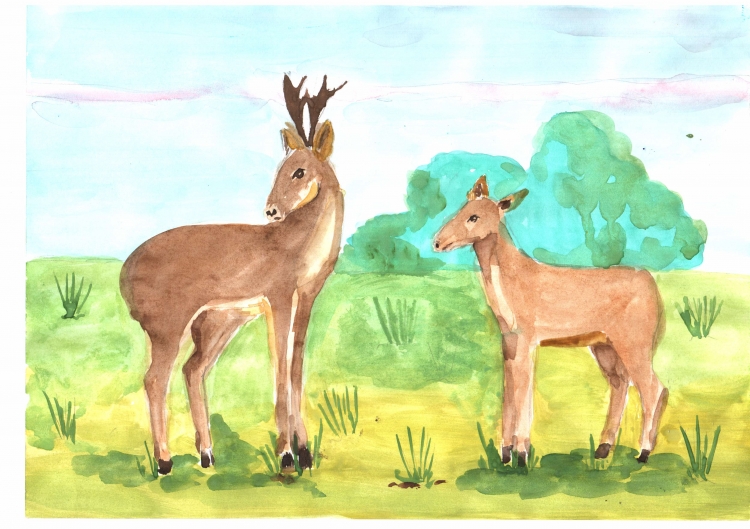 Косуля картина
