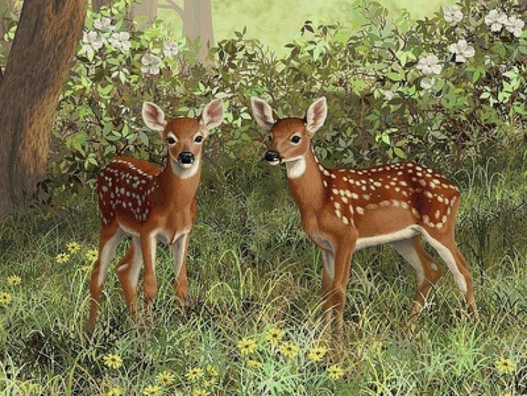 Американская художница Crista Forest картины
